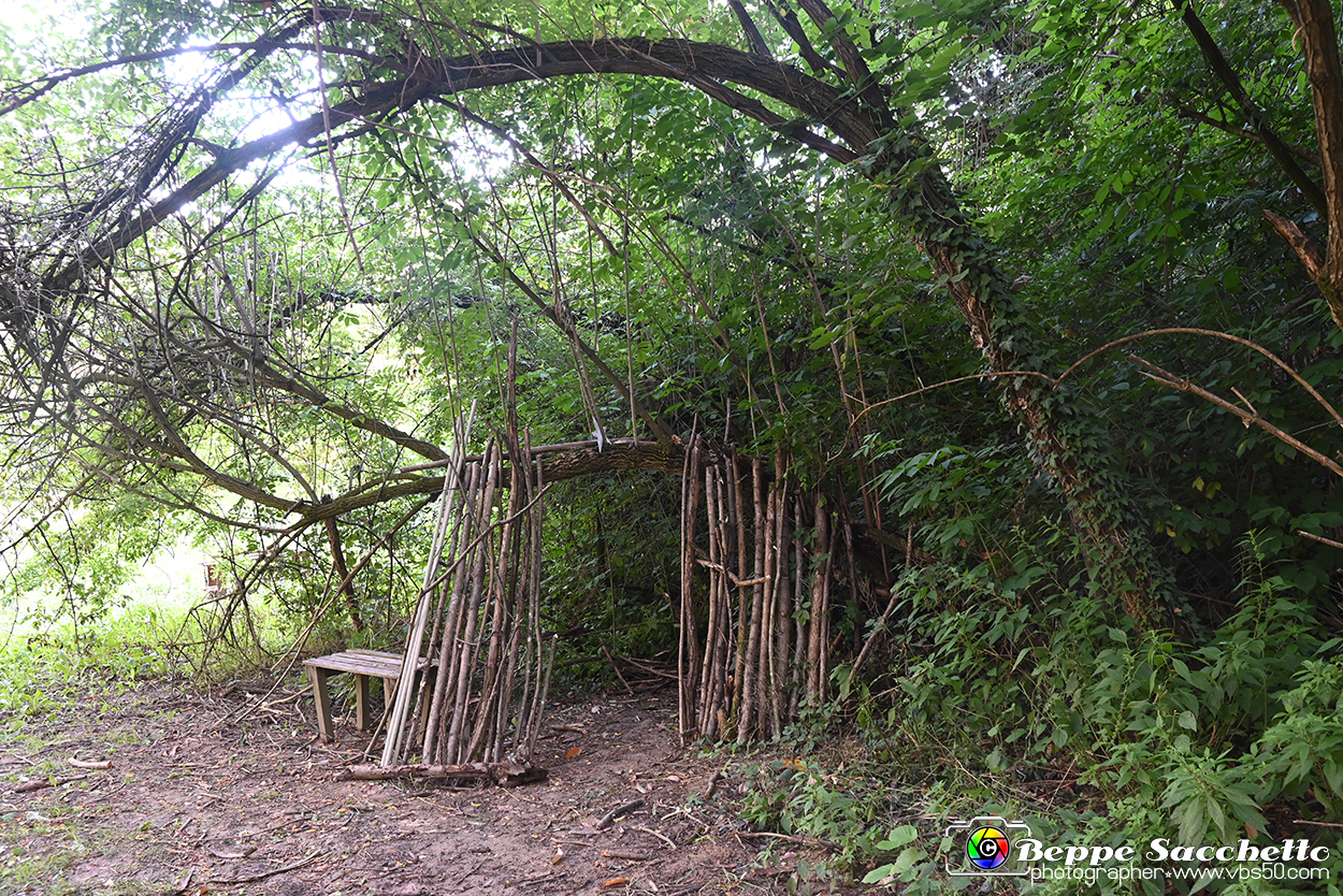 VBS_4865 - Il bosco fatato - Montaldo Roero.jpg